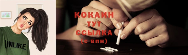 прущие грибы Баксан