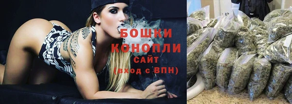 прущие грибы Баксан