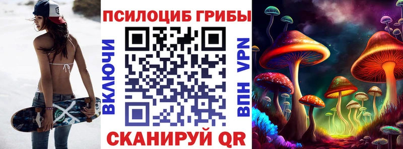 Псилоцибиновые грибы GOLDEN TEACHER наркотики Гороховец