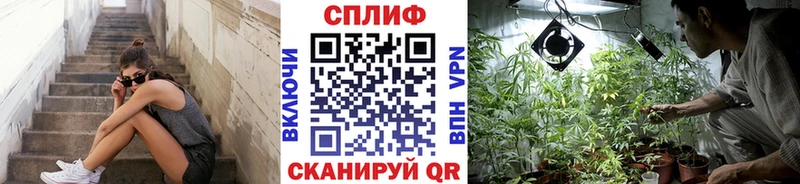 закладки  Гороховец  Каннабис марихуана 